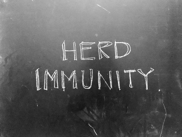 Herd Immunity handwritten on Blackboard as JPG File - Zdjęcie, obraz
