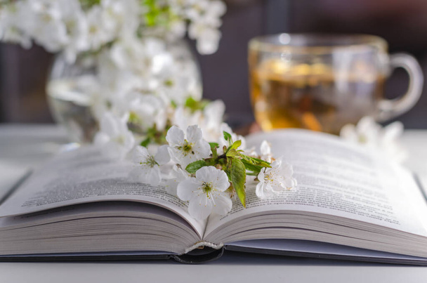 Livre ouvert avec branche de cerisier en fleurs sur table
 - Photo, image