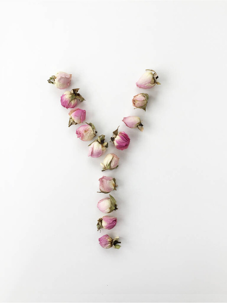 The letter Y is made up of small pink roses on a white background - Фото, изображение