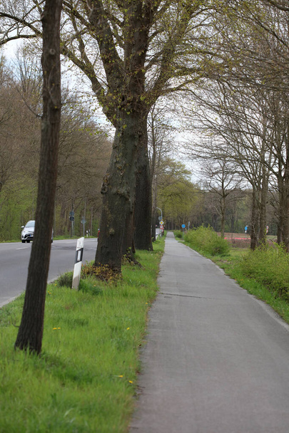 Dorsten, Германия, четверг 30 апреля пустая дорога в короне вирусного сезона фон высокого качества печати
 - Фото, изображение