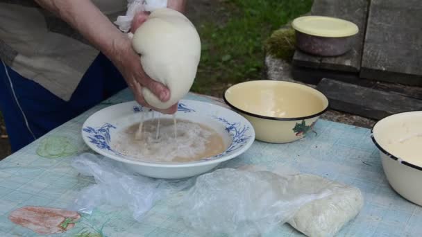 Senior Hand Kartoffelstamm - Filmmaterial, Video