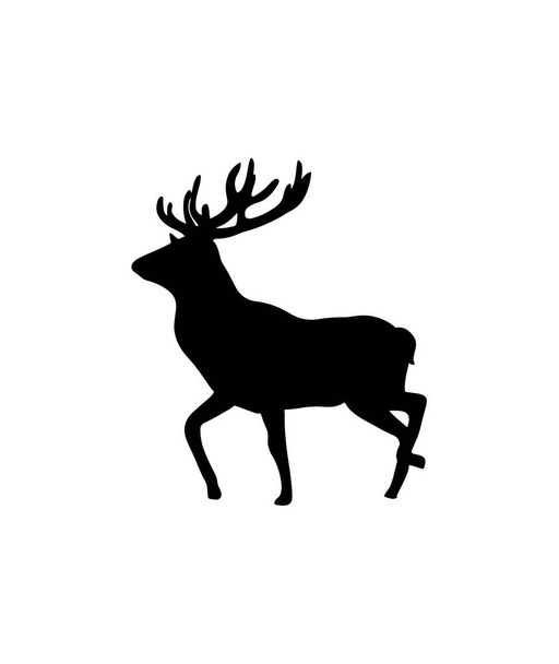 Deer Silhouette On White Background - Photo, Image