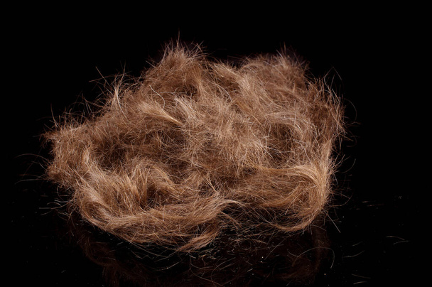 A lot of brown male hairs cut isolated on the black reflective background - Photo, Image
