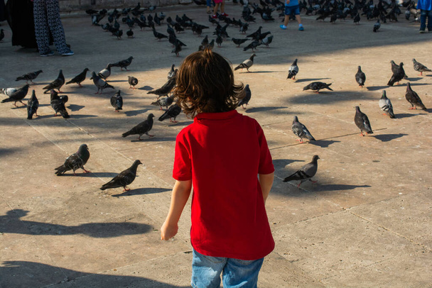 Μικρό παιδί ανάμεσα σε όμορφα περιστέρια τρέφονται σε αστικό περιβάλλον - Φωτογραφία, εικόνα
