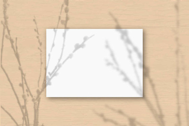 Ένα οριζόντιο φύλλο Α4 από λευκό ανάγλυφο χαρτί στο φόντο του τοίχου ώχρας. Mockup επικαλύπτονται με τις σκιές των φυτών. Το φυσικό φως ρίχνει σκιές από κλαδιά ιτιάς. Οριζόντια κατεύθυνση - Φωτογραφία, εικόνα
