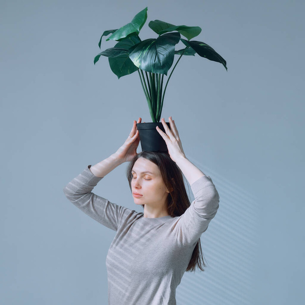 portrait of a young girl with a pot of flowers in her hands over her head - Foto, imagen