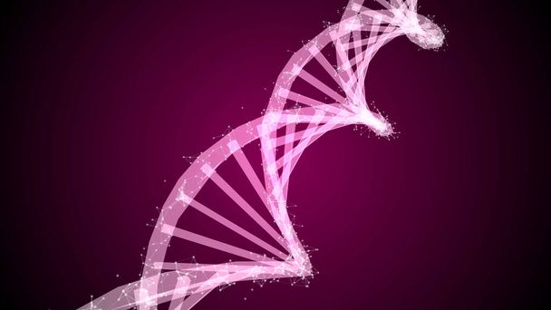 DNA-rakenne - Deoksiribonukleiinihappo. 3D lääketieteelliseen tieteelliseen RNA-tutkimukseen ja biologiaan geneettinen molekyylilaboratoriotutkimus
.. - Valokuva, kuva