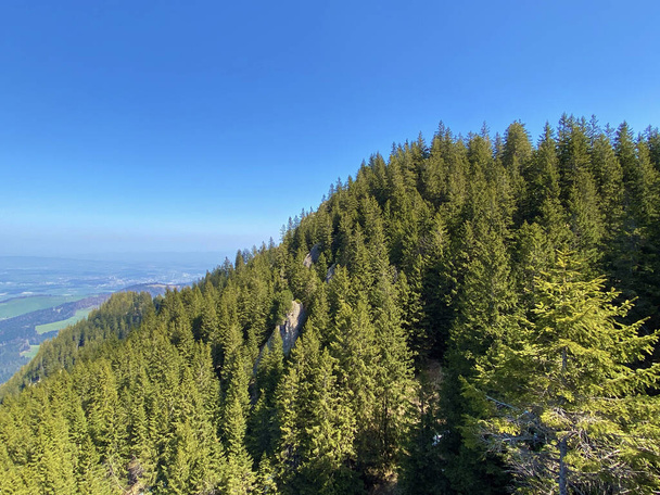 Widok ze szczytu alpejskiego wzgórza Hueenerhubel oder Huenerhubel nad doliną Eigental, Eigenthal - Kanton Lucerna, Szwajcaria (Kanton Luzern, Schweiz) - Zdjęcie, obraz