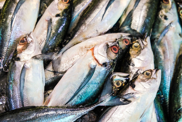 Varietà fresca frutti di mare vendono nel mercato tradizionale omega nutrizione alimentare
 - Foto, immagini