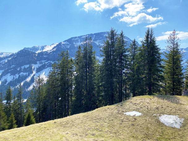 Vista do topo da colina alpina Ochs sobre o vale Eigental, Eigenthal Cantão de Lucerna, Suíça (Kanton Luzern, Schweiz
) - Foto, Imagem