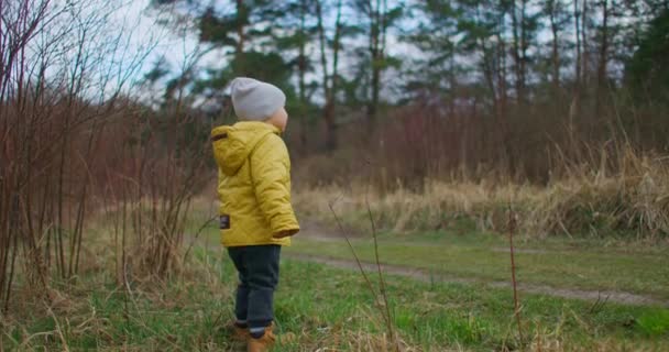 Αργή κίνηση. Ένα αγόρι με κίτρινο μπουφάν στέκεται και κοιτάζει την ομορφιά του δάσους και του πλανήτη Γη. Κοίτα και ονειρέψου το μέλλον. Ένα αγόρι που κοιτάζει μέσα στην απόσταση - Πλάνα, βίντεο