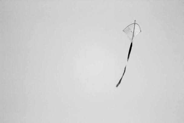 Uçurtma rüzgarda uçar. Gökyüzüne karşı uçan uçurtma siyah beyaz arka planda izole edilmiş. - Fotoğraf, Görsel
