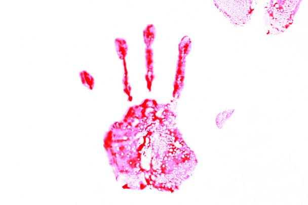 Blood stains the hands on white background - Photo, Image