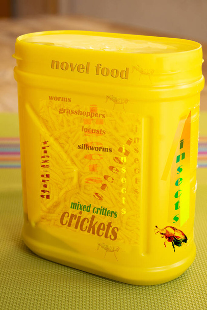 novel food: insects in plastic can - Photo, Image