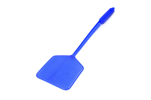 niebieski flyswatter - Zdjęcie, obraz