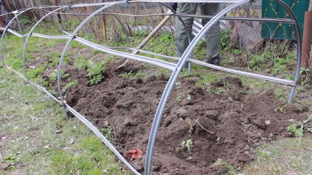 男は庭に土地を掘る野菜を植えるために大きなシャベルを使って。夏の晴れた日は植え付けのための良い時間です。自分でやるステップ1 - 映像、動画