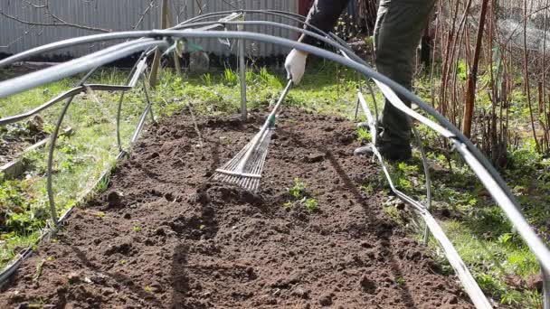 man cultivates and removes weeds in a garden using rake, for further planting vegetables. Summer day is good time for planting. social help to farmers and earth day concept. Do it yourself step 2 - Footage, Video