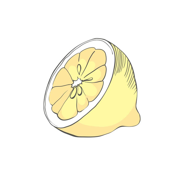 Hand drawn vector lemon whole and round slice, piece, on light background - Vector, imagen