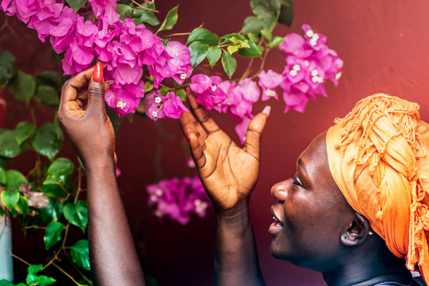 Afrykanka z nakryciem głowy czuje się na fioletowych liściach rośliny po deszczowej pogodzie w Ghanie. - Zdjęcie, obraz