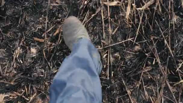 Cinematic survey from above of walking male feet in galoshes along the ashes of scorched earth in a deserted field during the day. Man walks through the burnt ash black grass and takes off his legs. - Πλάνα, βίντεο