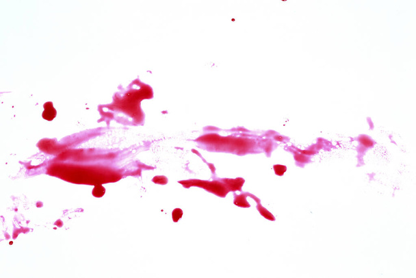 bloedige hand geïsoleerd op witte achtergrond afdrukken - Fotoğraf, Görsel