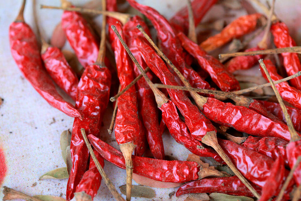 Sušené chilli a pikantní koření - Fotografie, Obrázek