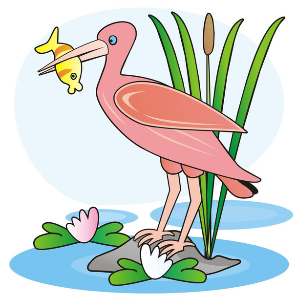 Ибис и рыба в пруду, цветная векторная иллюстрация
 - Вектор,изображение