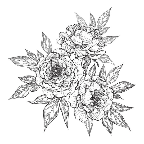 Hand drawn peony flowers and leaves bunch isolated on white. Vector line art monochrome elegant floral composition in vintage style, t-shirt, tattoo design, coloring page, wedding decoration. - Διάνυσμα, εικόνα