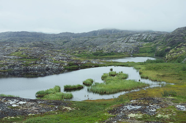 Severe gloomy highlands norway landscape - granite high rocks with green moss, bright grass and swamp, grey lakes in haze  in cloudy weather. - 写真・画像