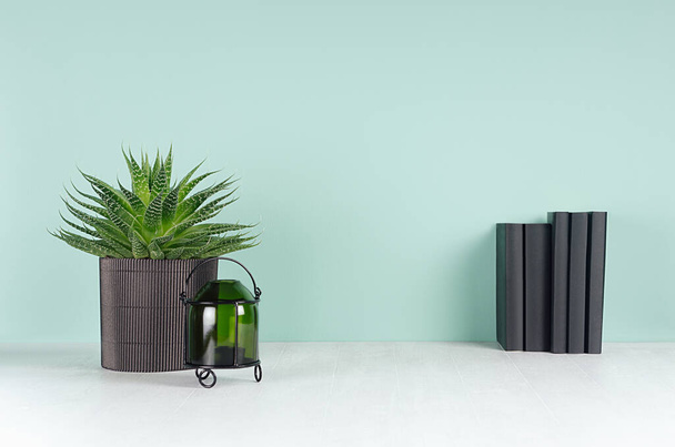 Fresh spring workplace for work and study with black books, aloe plant, candlestick in light green mint menthe interior on white wood desk, copy space. - Photo, image