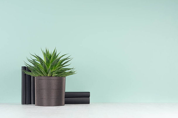 Spring decor for home library with green houseplant of aloe in ribbed black pot, black books in soft light green mint menthe interior on white wood shelf, copy space. - Фото, изображение