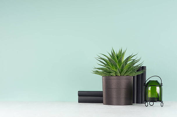 Fresh spring interior with green potted plant of aloe in ribbed black pot, style glass green candlestick, black books on trendy green mint menthe wall and white wood table. - Foto, afbeelding