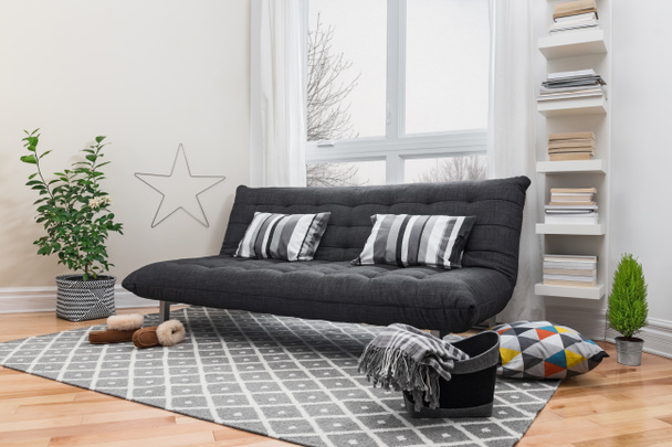 Spacious living room with modern decor - Photo, Image