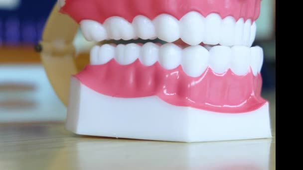 Tooth model stop motion seen. - Footage, Video