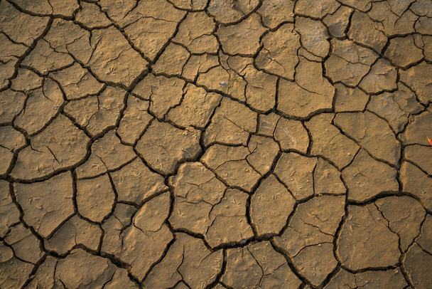 Arid, Mangel an Wasser, wodurch der Boden austrocknet Kein Regen in der Saison. Globale Erwärmung Erde Land ohne Regen. - Foto, Bild