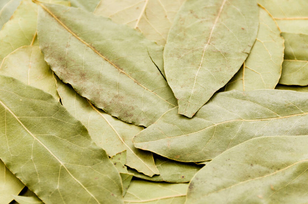 Dried bay leaves texture background - Photo, Image