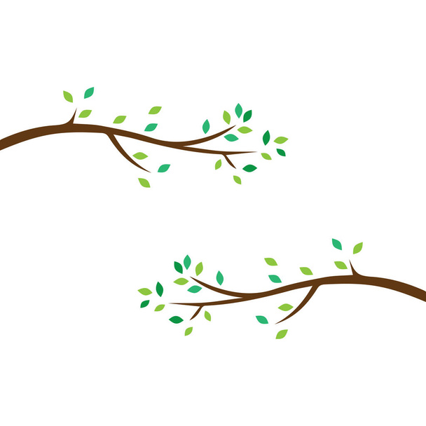 Rama vectorial, ilustración dibujada a mano de la plantilla de diseño de rama de árbol
 - Vector, imagen
