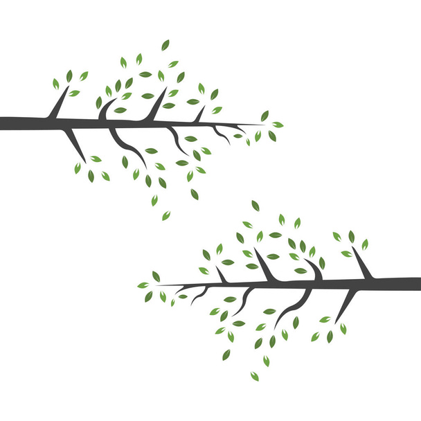 Rama vectorial, ilustración dibujada a mano de la plantilla de diseño de rama de árbol
 - Vector, imagen