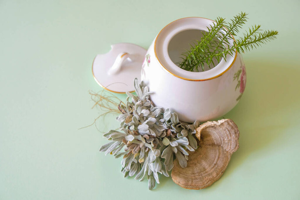 Medicinal herbs wormwood and lycopodium in a porcelain cup on mint background. Copy space. - Photo, Image