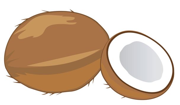 Coconuts - Vector, Image