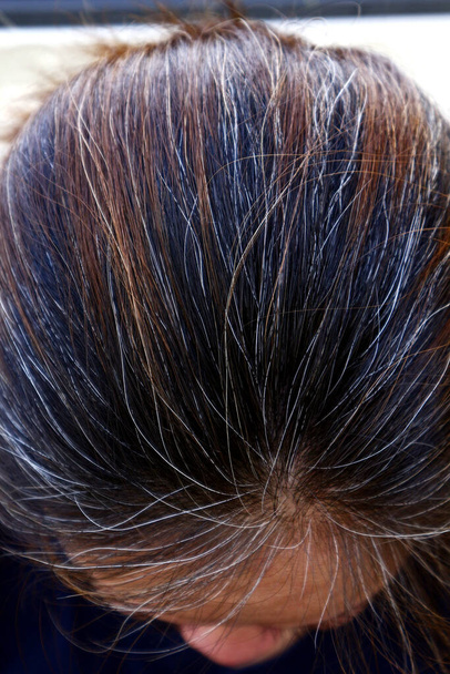 Foto de cerca de la cabeza de una mujer con cabello castaño, negro y gris
. - Foto, Imagen
