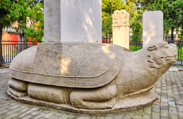 Bixi, base tartaruga drago di pietra di Stele con iscrizioni commemorative al Tempio di Confucio, patrimonio mondiale dell'UNESCO a Qufu, provincia di Shandong, Cina
 - Foto, immagini