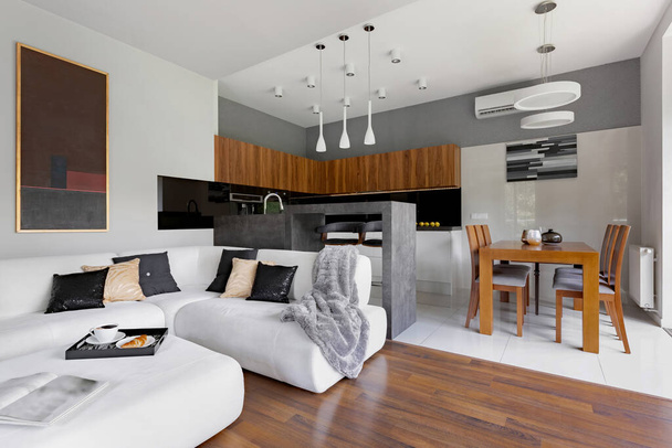 Modern apartment with living room and kitchen with dining table in one space - Foto, imagen