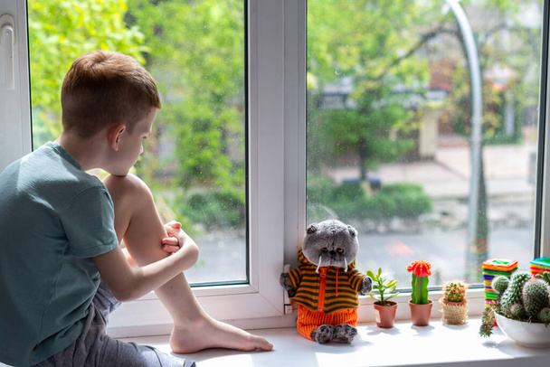 Nuori poika istuu ikkunalaudalla ja katselee ihanaa lelukissaa. Pysy kotona käsite aikana pandemia covid-19 - Valokuva, kuva