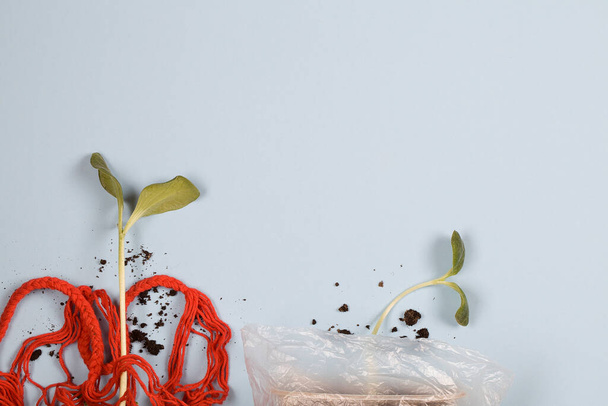 Kaputte Jungpflanze in Plastik und starke Jungpflanze in roter Mesh-Einkaufstasche auf blauem Hintergrund. Umweltverschmutzung Ökosystem Problem. Ansicht von oben, Kopierraum - Foto, Bild