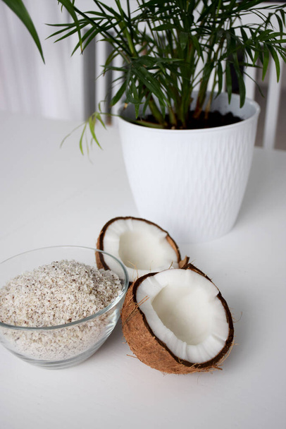Cracked cocco vicino casa pianta palma in un vaso bianco su un tavolo bianco durante il giorno
 - Foto, immagini