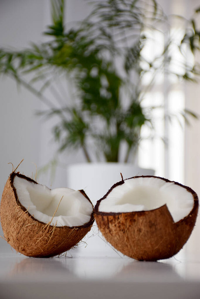 Pęknięty kokos w pobliżu domu roślin palmy w białym garnku na białym stole w ciągu dnia - Zdjęcie, obraz
