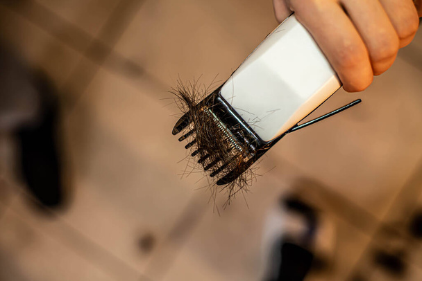 cortadora de pelo con pelo en la cuchilla
 - Foto, imagen