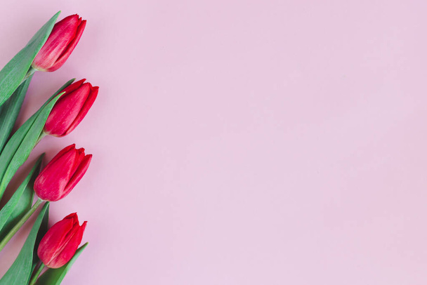Tender red pink tulips on pastel pink background. Greeting card for Mother's day. Flat lay. Place for text.  - 写真・画像