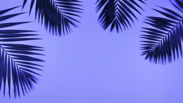 Tropical palm leaves in bold gradient holographic colors - Imágenes, Vídeo